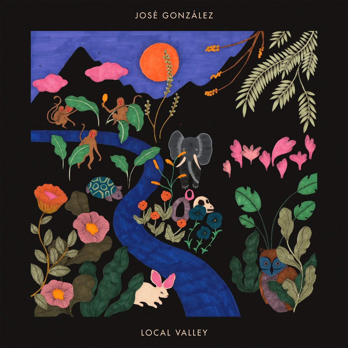 Local Valley - José González