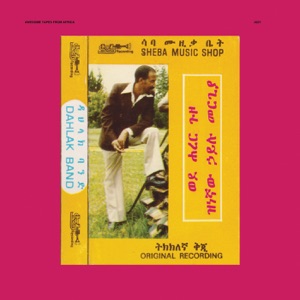 Wede Harer Guzo by Hailu Mergia, Dahlak Band