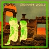 Ordinary World