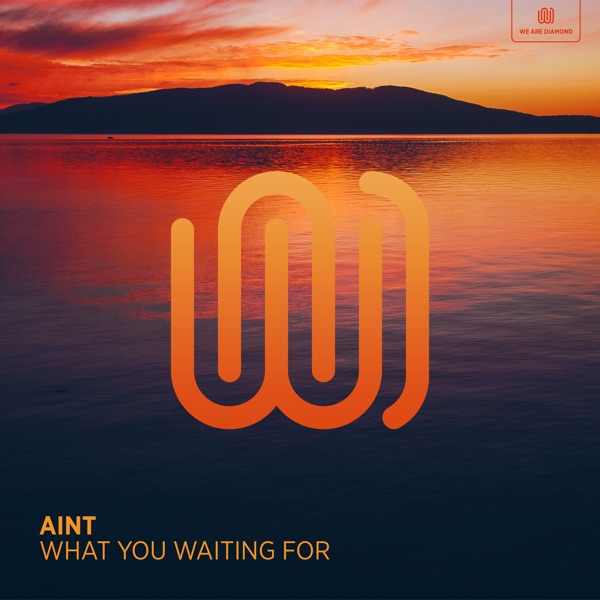 What You Waiting For - Single