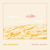 Dutch Tulips - Pez Mansion