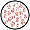 PAWSA - The Groovy Cat (Extended Mix)