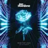 Paid For Love (Extended Mix)