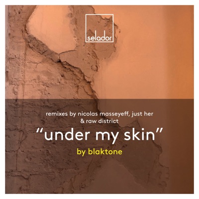 Under My Skin (Remixes)