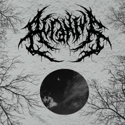 Anima - Single