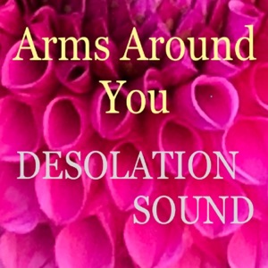 Arms Around You (feat. Jon Auer) - Single