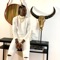 Takk Gui (feat. Wally B. Seck) - Pape Seck Afia lyrics