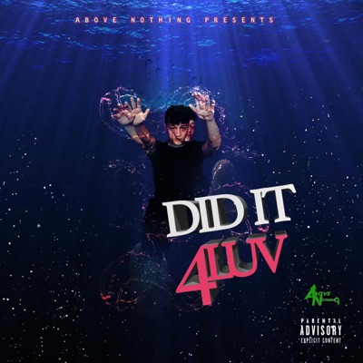 Did It 4 Luv - EP