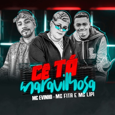 Cê Tá Maravilhosa (feat. Mc Evinho & Mc Lipi) - Single