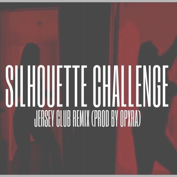Silhouette Challenge Part2