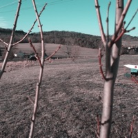 Nature In Punk - Single - A Mac