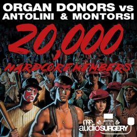 20,000 Hardcore Members Organ Donors, Antolini & Montorsi