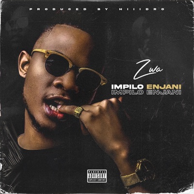 Impilo Enjani - Single