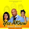 Yes I Know - Single