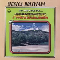 PALOMA DEL ALMA MIA