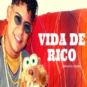 VIDA DE RICO artwork