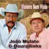 ILUSÃO DE UMA VIDA