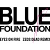 Blue Foundation