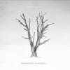 Dear John - EP - Brandon Stansell