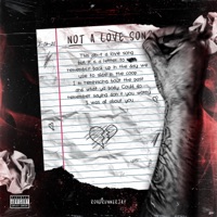 Not a Love Song - Single - Roadrunnerjay