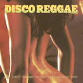 Disco Reggae - Various Artists