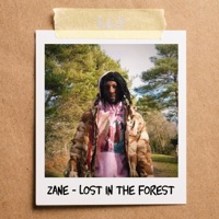 Lost In the Forest (feat. SAZ) - Single - Zane