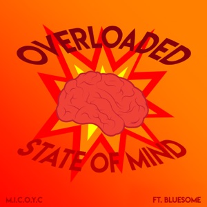 Overloaded State of Mind (Radio Edit)
