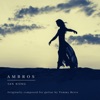 Ambros - Single