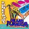 Marimba Orquesta Alma Tuneca - La Chichicua, Marimba de Guatemala