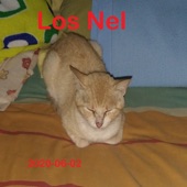 Nel Nel - Lavaste