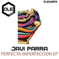 Perfecta Imperfeccion EP - Javi Parra