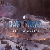 Bad Girls - Single - Stig da Artist