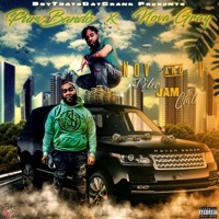 Vibe Jam Chill - EP - PurvBando & Nova Gray