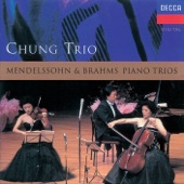 Piano Trio No. 1 in B, Op. 8: III. Adagio artwork