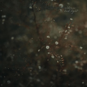 Bad Light - Single