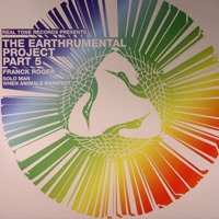 The Earthrumental Project Part 5 - Single - Franck Roger