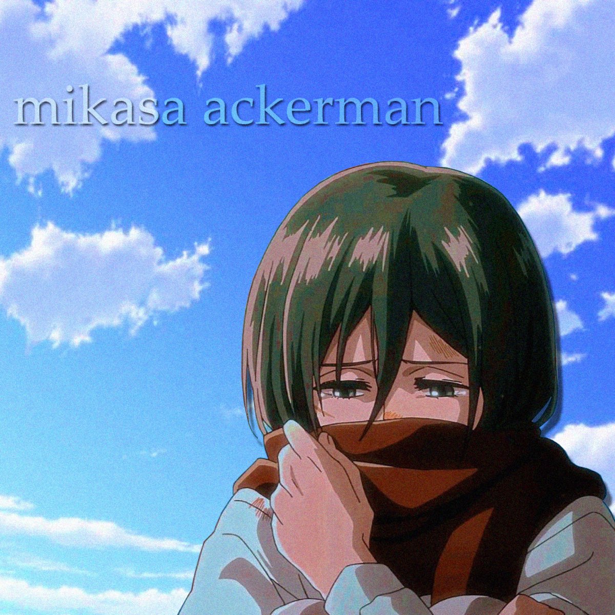Mikasa Ackerman Icon  Mikasa anime, Anime, Mikasa