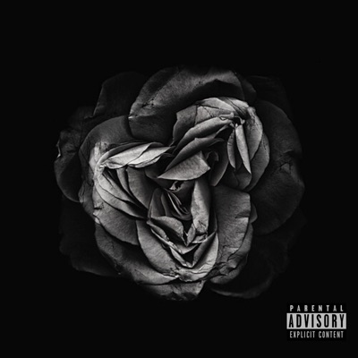 Flower Bloomed in a Dark Room