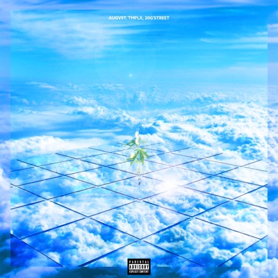 20 Gram (feat. Tmplx & 20g'street) - Single