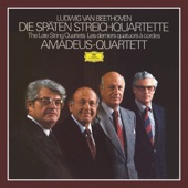 String Quartet No.16 In F Major, Op. 135: 2. Vivace artwork