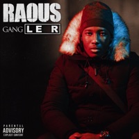 Le r - Single - Raous gang