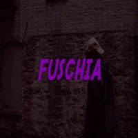Fuschia - Single - Y