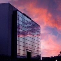 Night Life - Single - ZB Flips