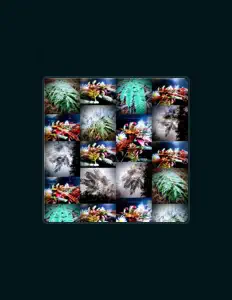 Poslechněte si interpreta White Stag, sledujte hudební videa, přečtěte si životopis, podívejte se na data turné a další informace.