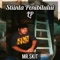 Am Pierdut Un Prieten (Skitt 2) - MR.SKIT lyrics