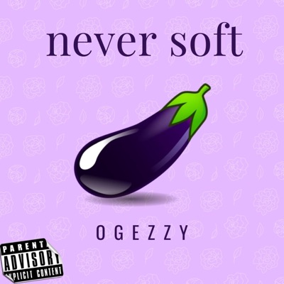 Never Soft - Single
