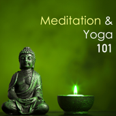 Meditation & Yoga 101 - The Most Complete Music Collection for Yoga Classes, Mindfulness Meditation and Background Spa Ambience - Yoga Meditation 101