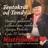 V Mistříně Na Dolině artwork