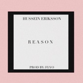 Reason artwork