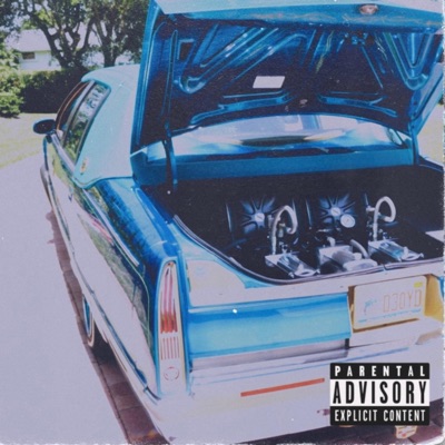 Subs in Tha Back - Single